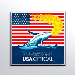 Аватар Telegram-канала Blockchain Usa Official ( Binance ) 🐋 — статистика и реклама