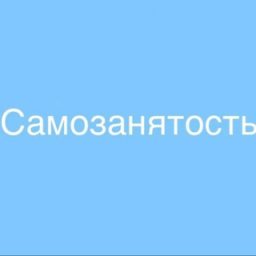 Аватар Telegram-канала САМОЗАНЯТОСТЬ — статистика и реклама